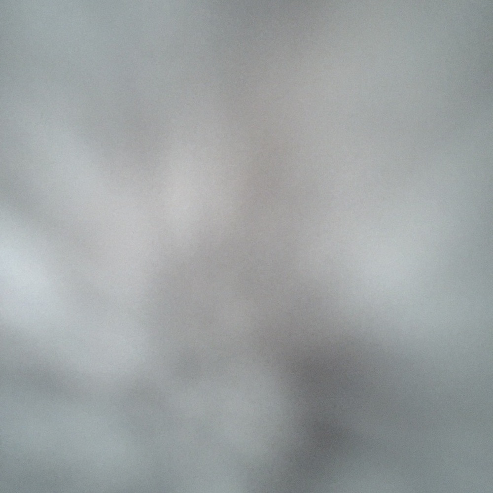 Meet your Posher, Cheyenne